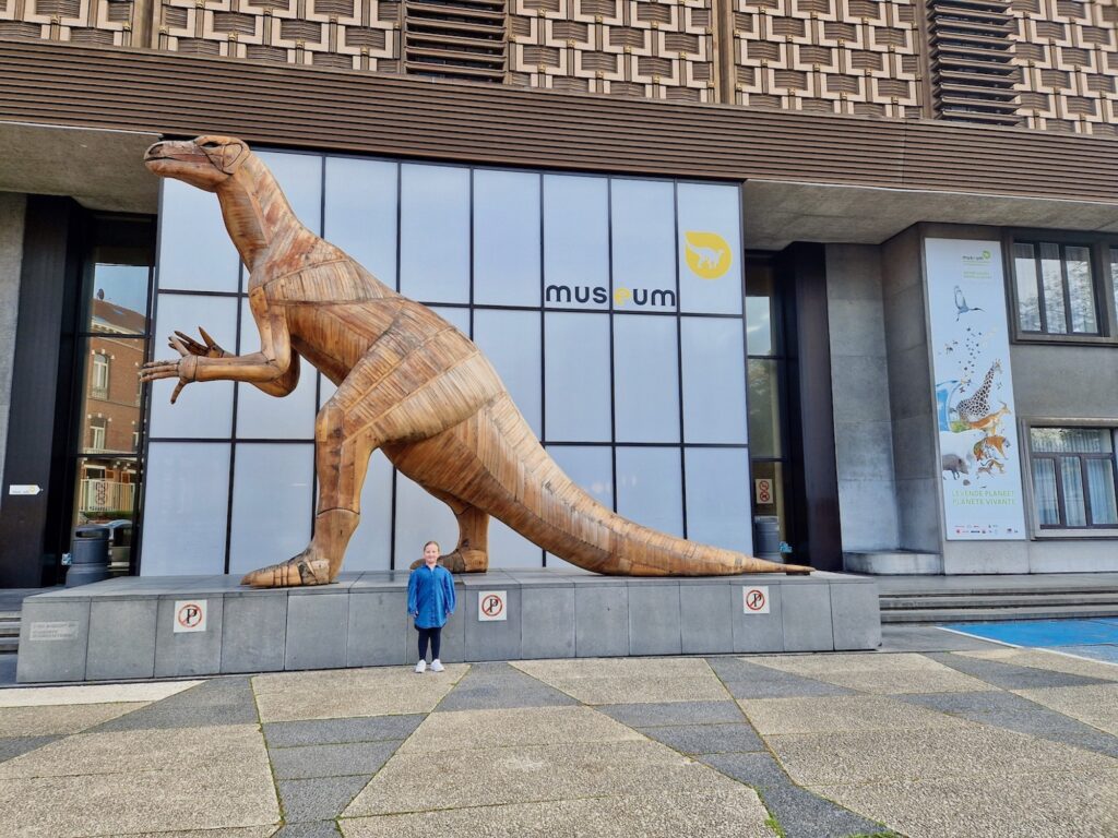 Museum of Natural Sciences Brussels