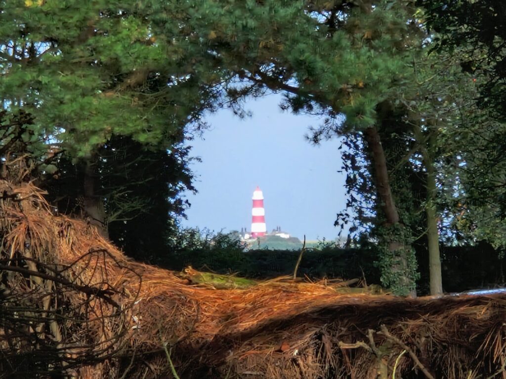 Happisburgh lighthouse through a gap in the trees
