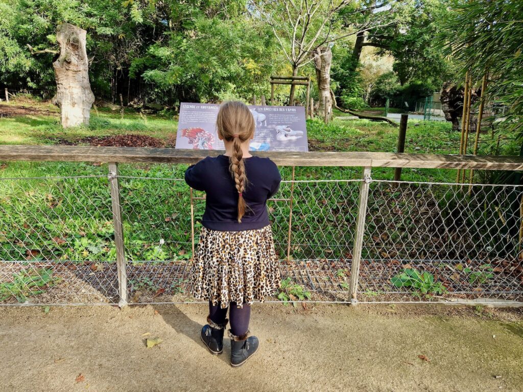 Erin looking out at an animal enclosure