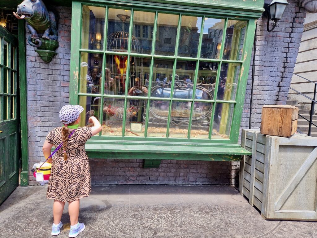 Erin in Diagon Alley at Universal Studios Orlando