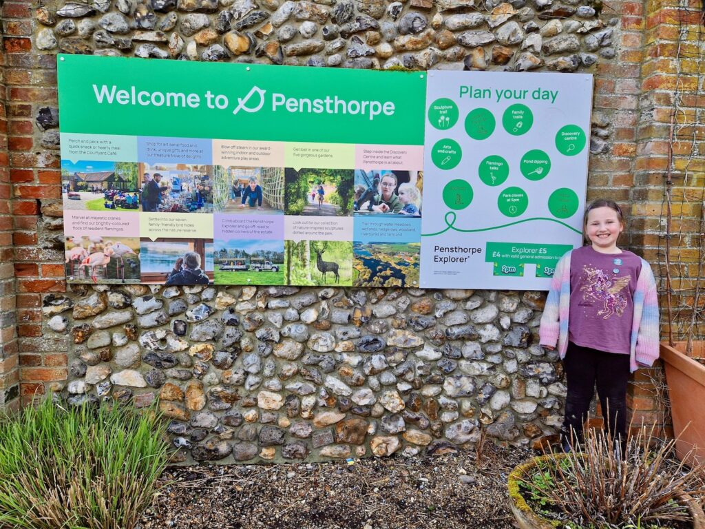 Erin stood at the entrance to Pensthorpe