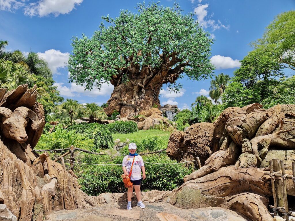 Erin stood near the big tree at Animal Kingdom