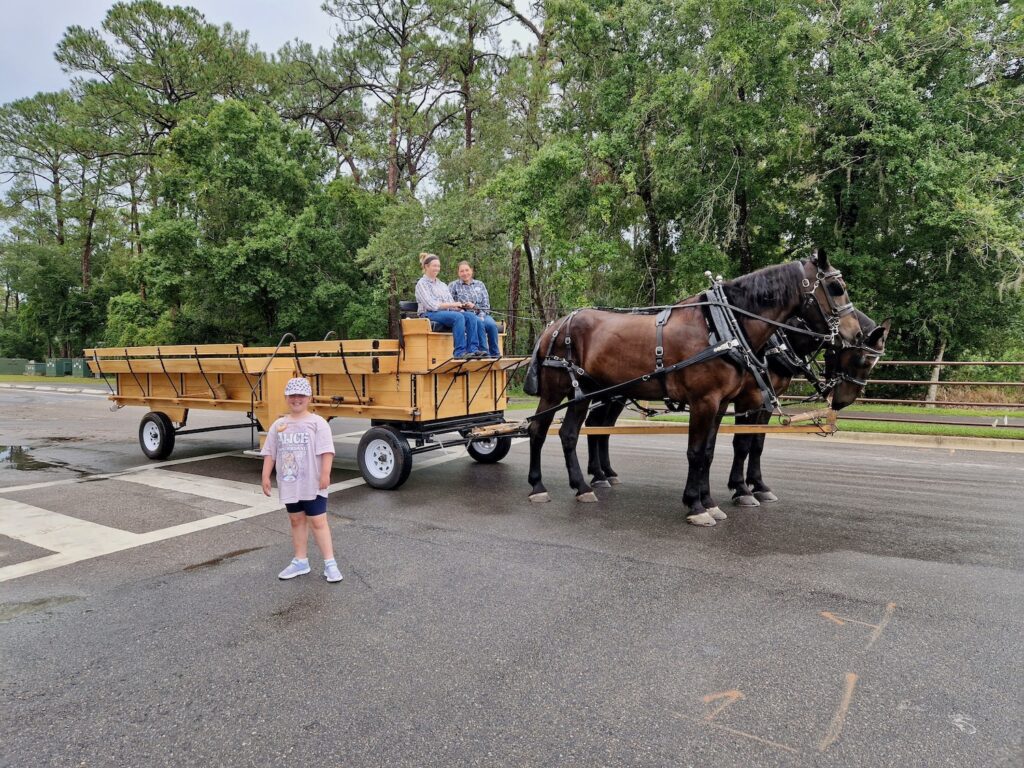 Erin stood with a wagon and horses at Disney's Fort Wilderness resort