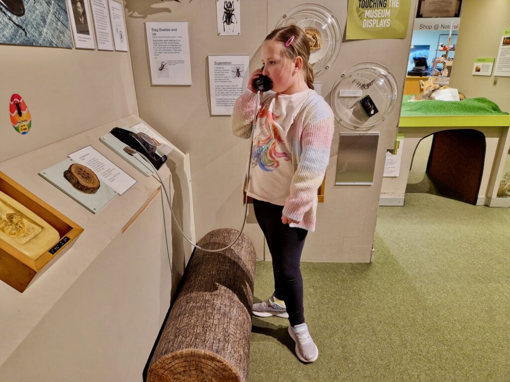 Erin using an interactive exhibit at Colchester Natural History Museum