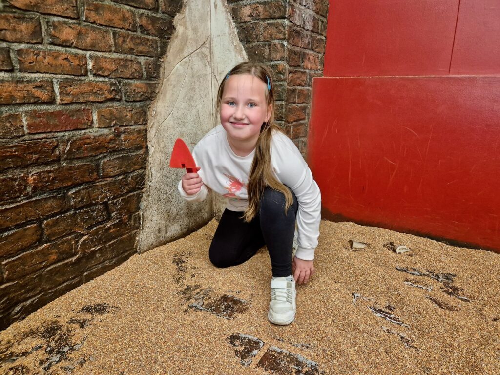 Excavation zone at DIG York