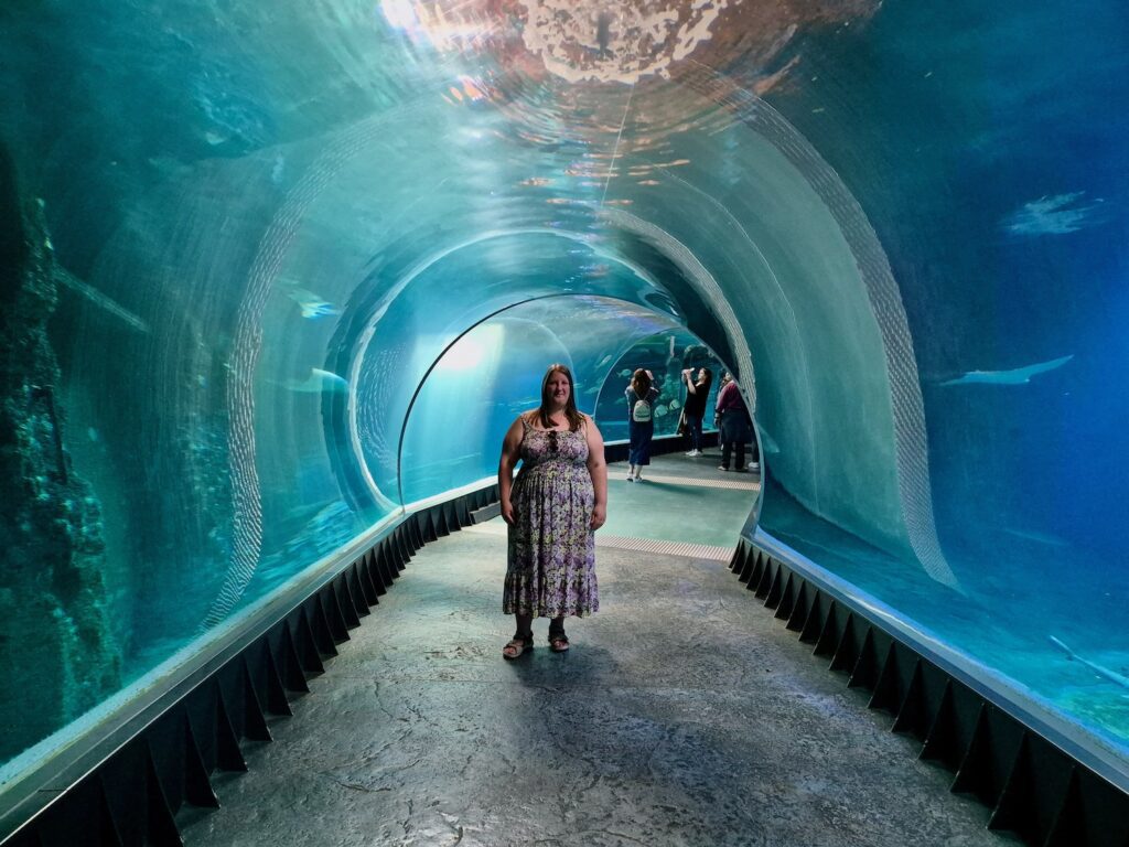 Tunnel in Wroclaw Zoo's Afrykarium