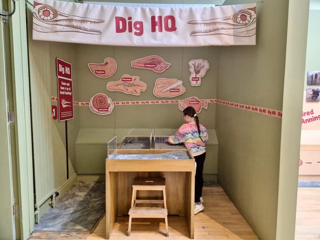 Dig HQ at the Yorkshire Museum