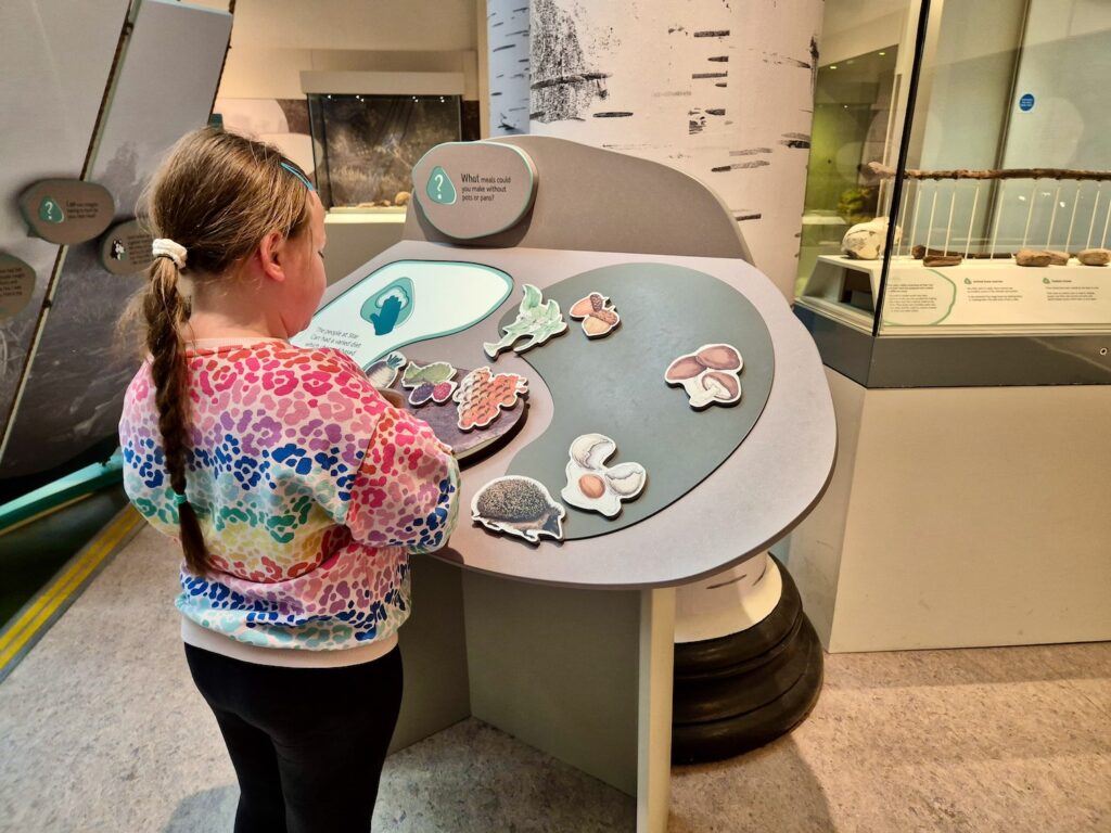 Interactive area in the Star Carr exhibit