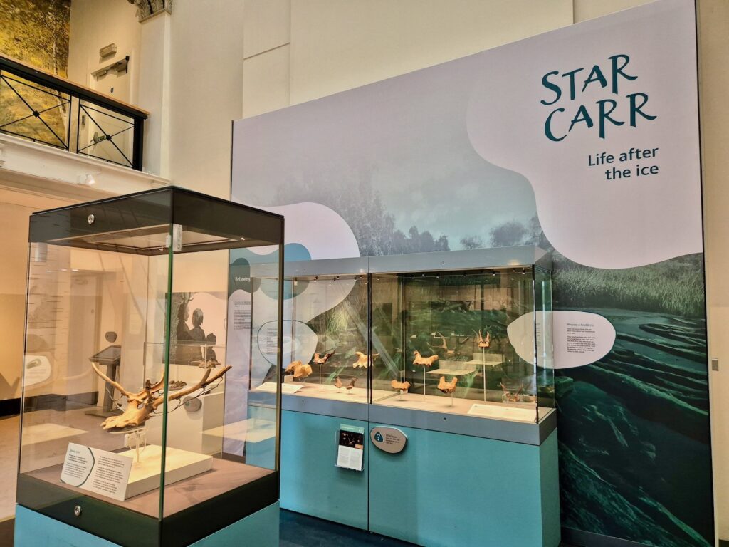 Star Carr area at the Yorkshire Museum