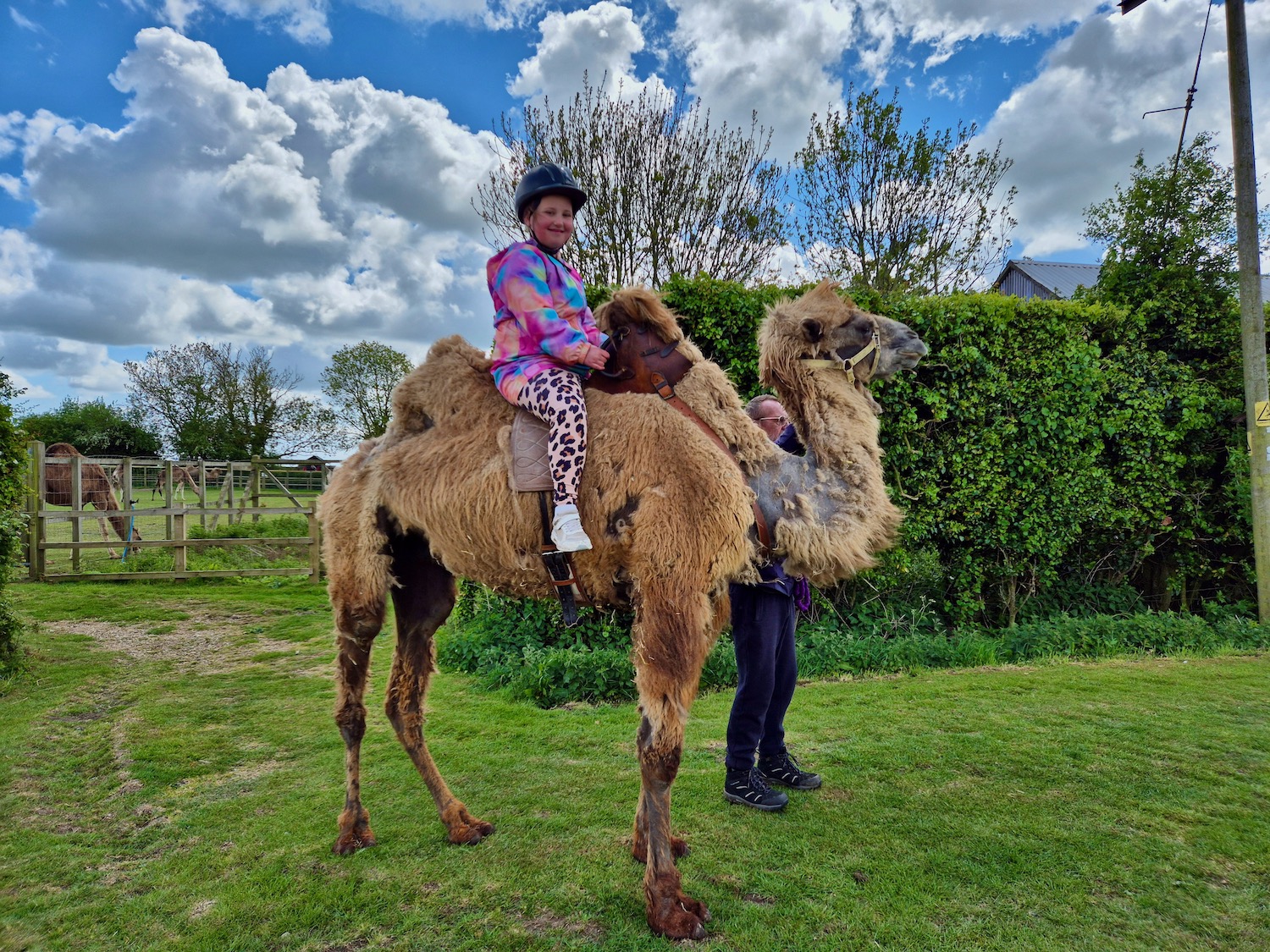 A girl riding a camel at Camel Park Oasis, accompanied by a staff member, with paddocks and trees in the background.