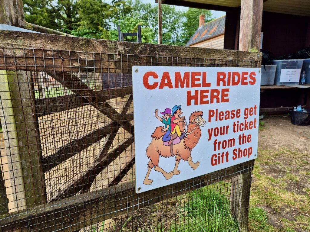 Sign advertising camel rides at Camel Park Oasis, mounted on a wooden fence with cartoon camels and riders.