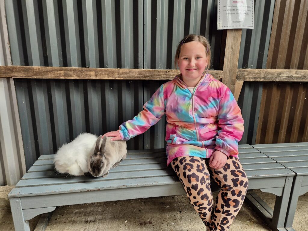 Smiling girl sitting on a bench petting two rabbits at the indoor petting area at Camel Park Oasis.