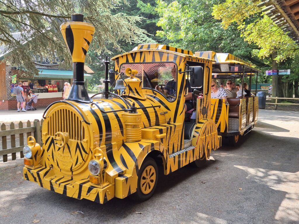 Bright yellow safari-themed road train with passengers at Banham Zoo